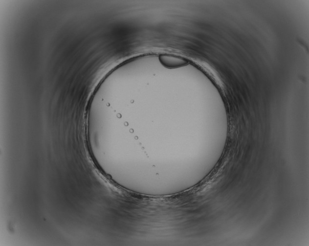 X0000094950903200711291102