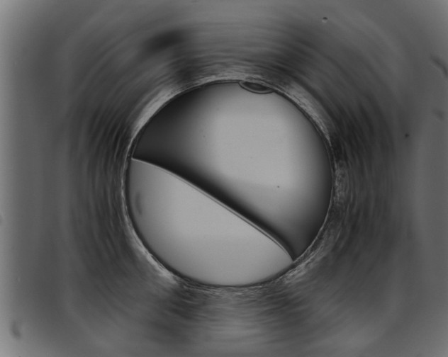 X0000094950906200711291102