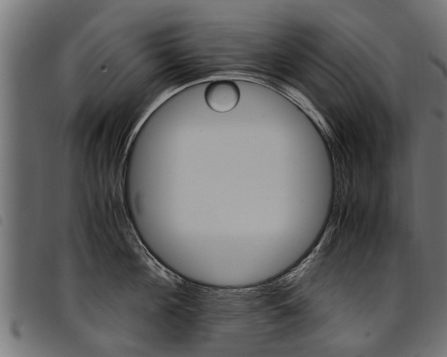 X0000094950908200711291102