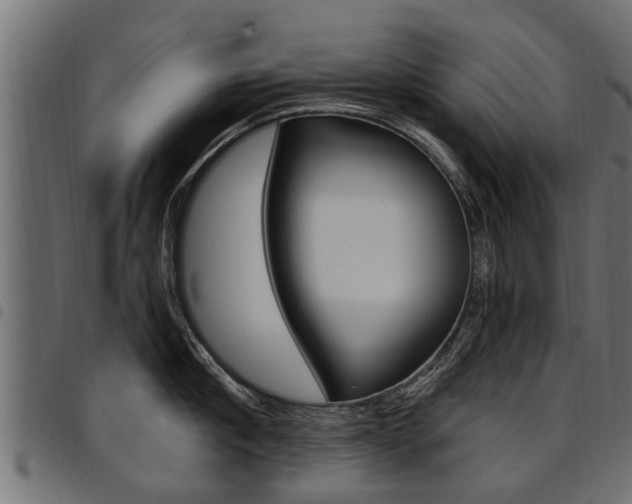 X0000094950910200711291102