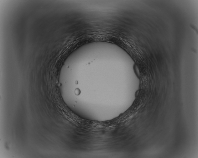 X0000094950913200711291101