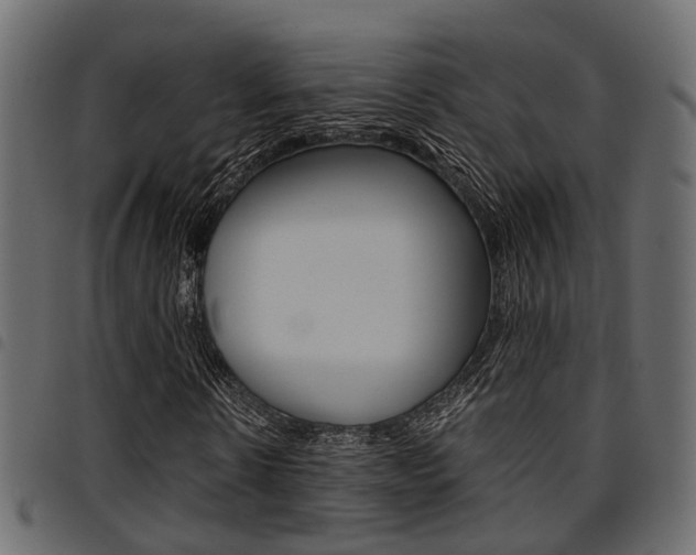 X0000094950914200711291101