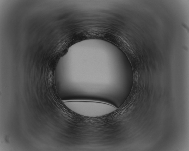 X0000094950915200711291101