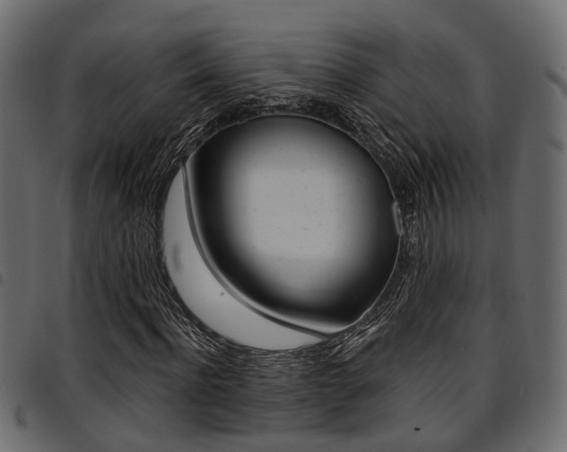 X0000094950916200711291101