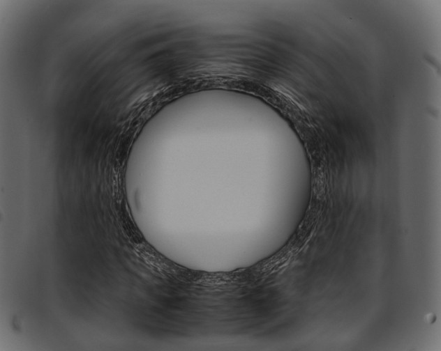 X0000094950917200711291101