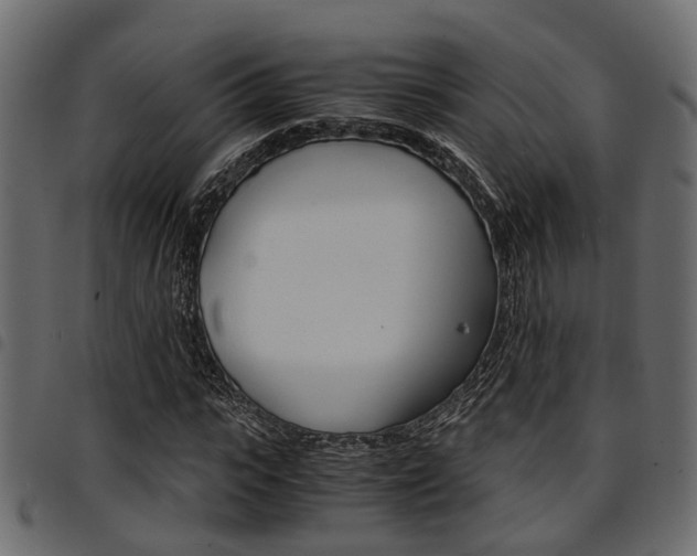 X0000094950919200711291101