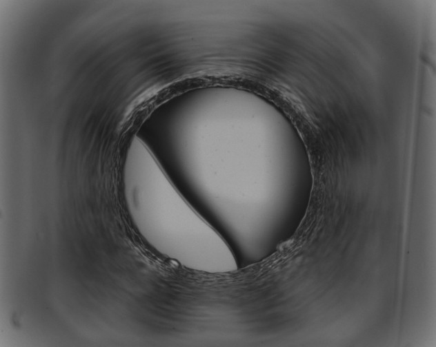 X0000094950920200711291101
