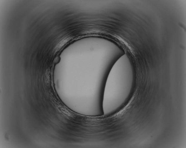 X0000094950921200711291101
