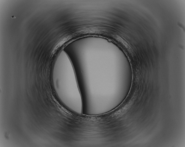 X0000094950922200711291101