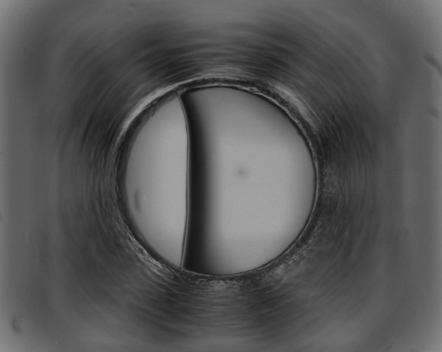 X0000094950923200711291101