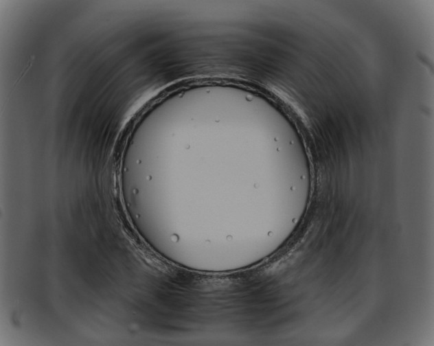 X0000094950925200711291101