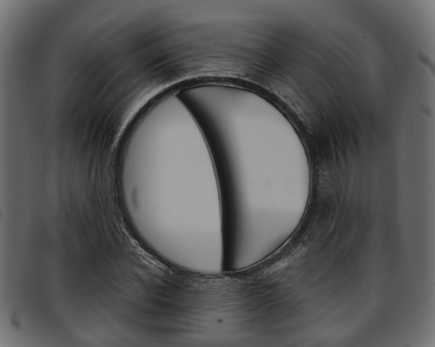 X0000094950926200711291101