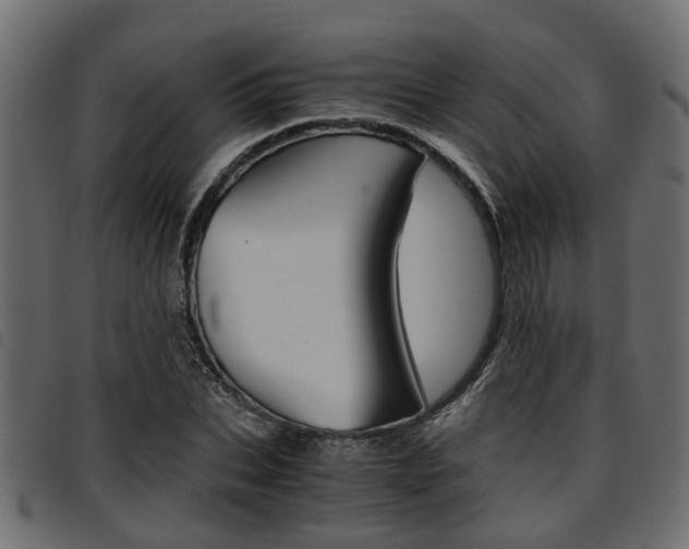 X0000094950927200711291101