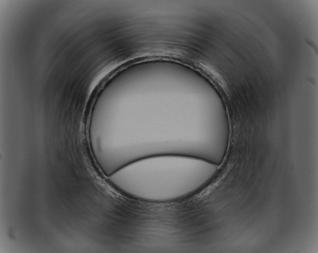 X0000094950928200711291101