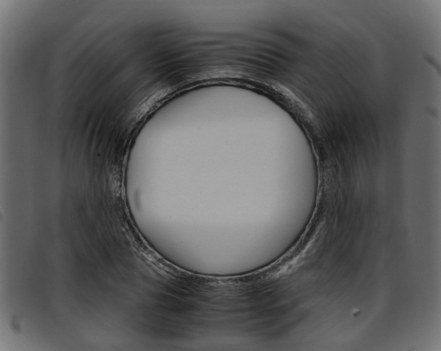 X0000094950929200711291101