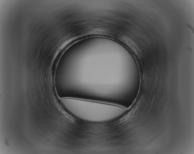 X0000094950931200711291101