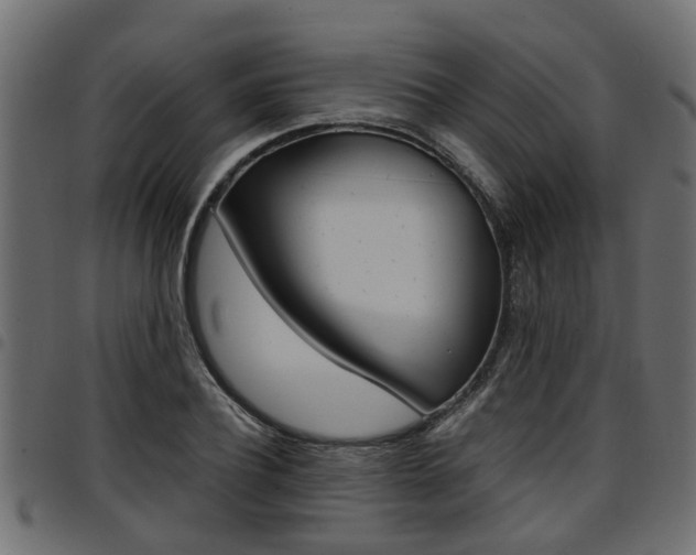 X0000094950932200711291102
