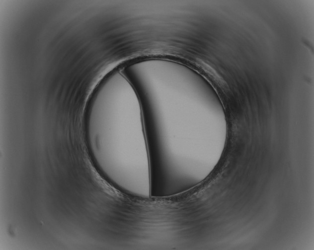 X0000094950934200711291102