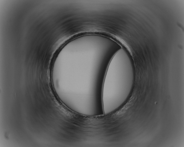 X0000094950935200711291102