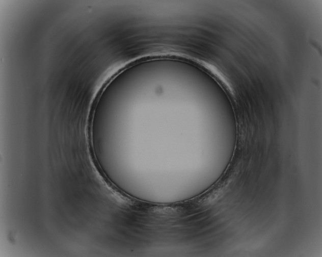 X0000094950943200711291102