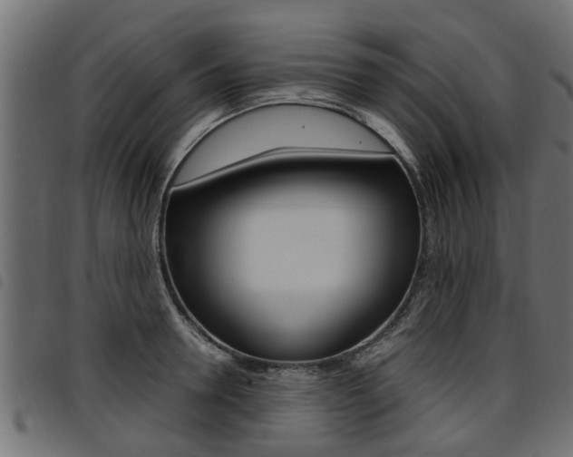 X0000094950946200711291102