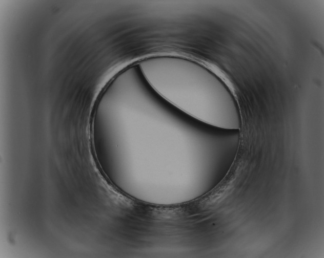 X0000094950951200711291102