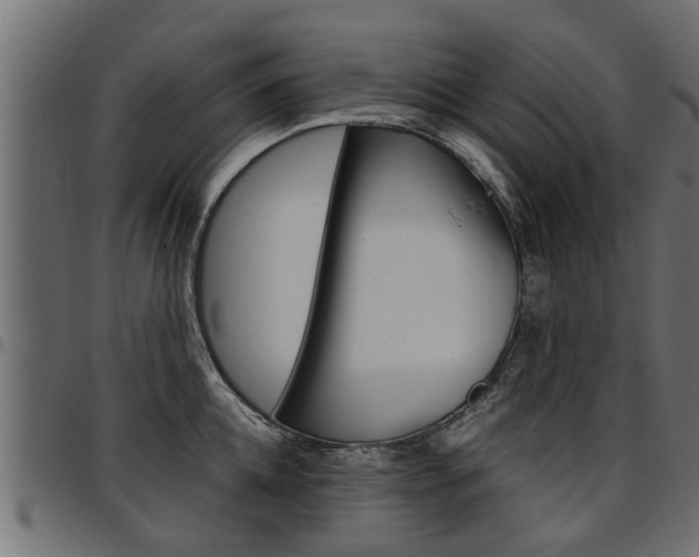 X0000094950952200711291102
