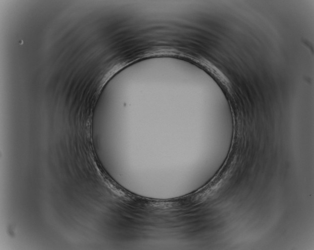 X0000094950953200711291102