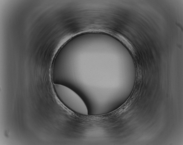 X0000094950958200711291102