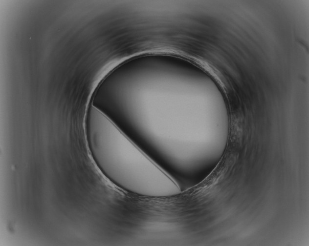 X0000094950959200711291102