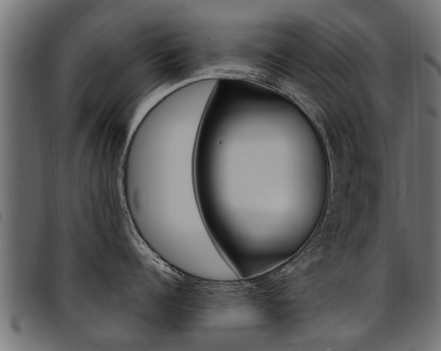 X0000094950960200711291102