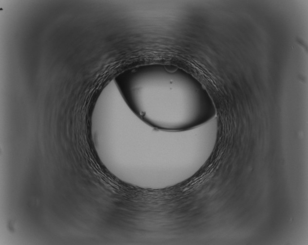 X0000094950961200711291101