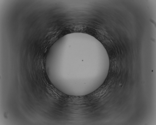 X0000094950962200711291101