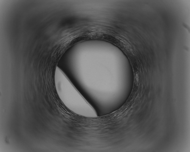 X0000094950963200711291101