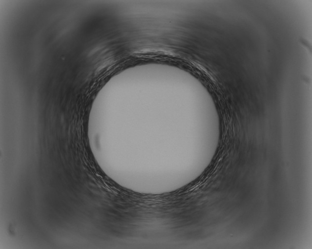 X0000094950965200711291101