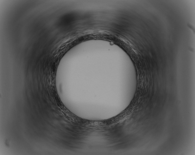 X0000094950966200711291101