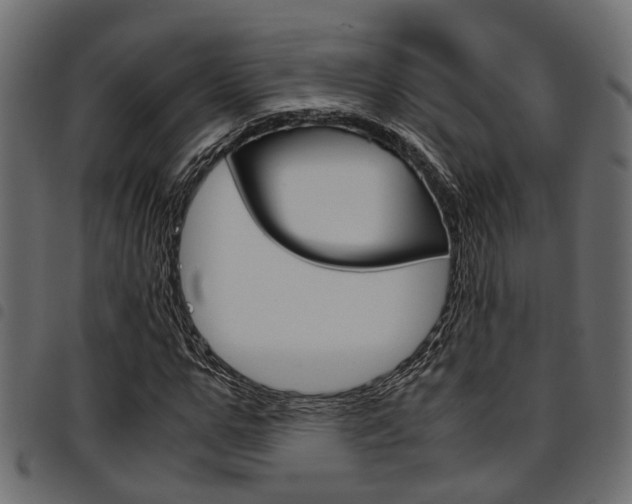 X0000094950967200711291101