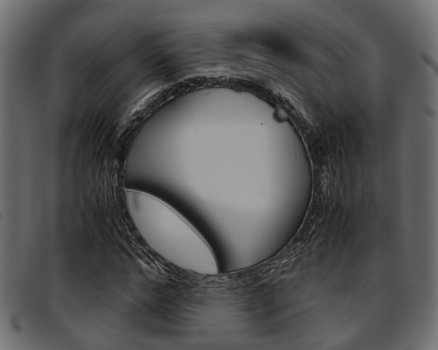 X0000094950968200711291101