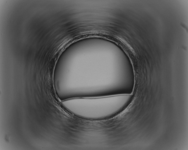 X0000094950969200711291101