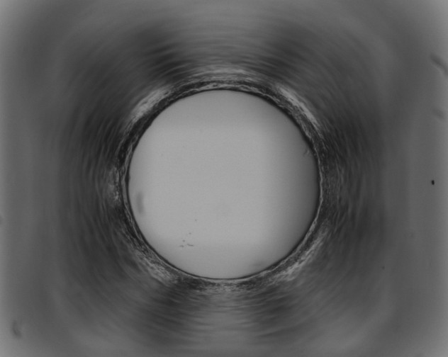 X0000094950970200711291101