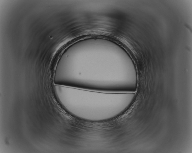 X0000094950971200711291101