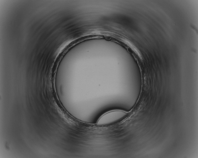 X0000094950972200711291101