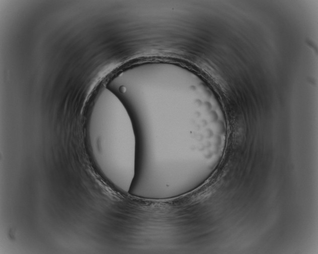 X0000094950974200711291101