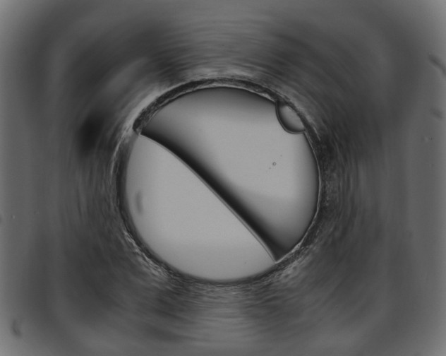 X0000094950975200711291101