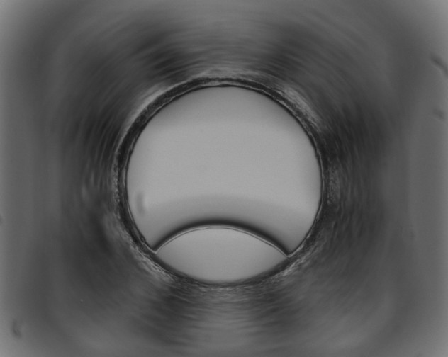 X0000094950976200711291101