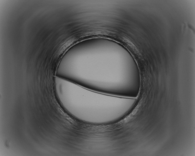 X0000094950977200711291101