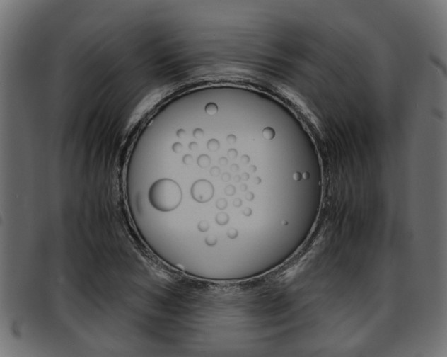 X0000094950978200711291101