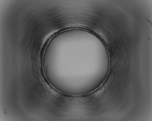 X0000094950979200711291101