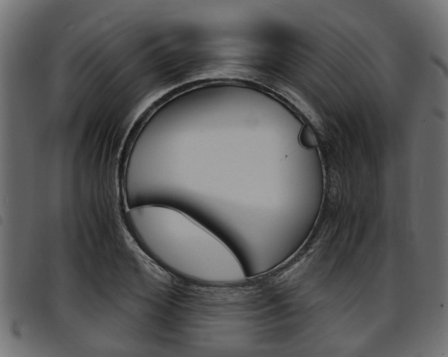 X0000094950980200711291101