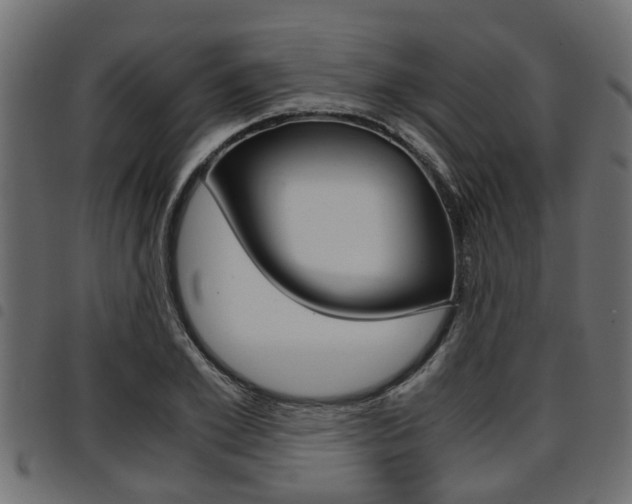 X0000094950981200711291101